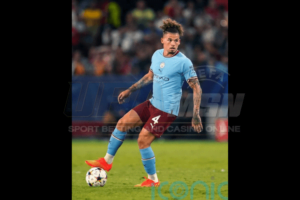 หมูฟิลลิปส์